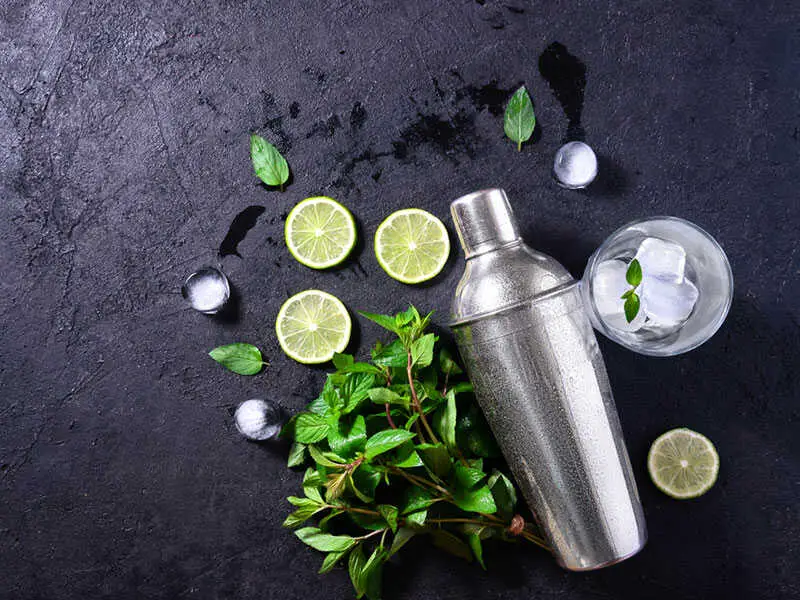 How Can I Earn Money By Making A Website? Top 15 Best Cocktail Shakers For The Money (2021 Reviews)