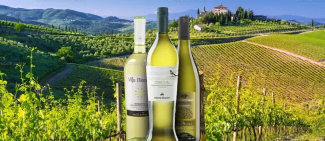 Verdicchio