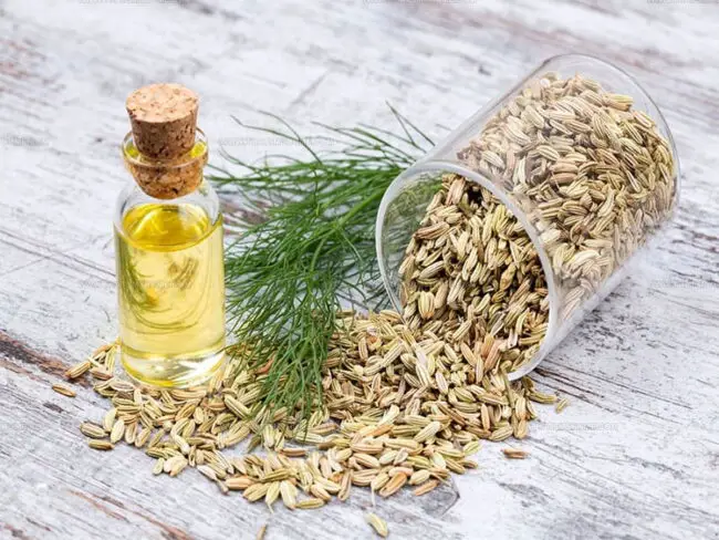 Fennel Seeds