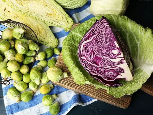 Brussels Sprouts vs. Cabbage Basics
