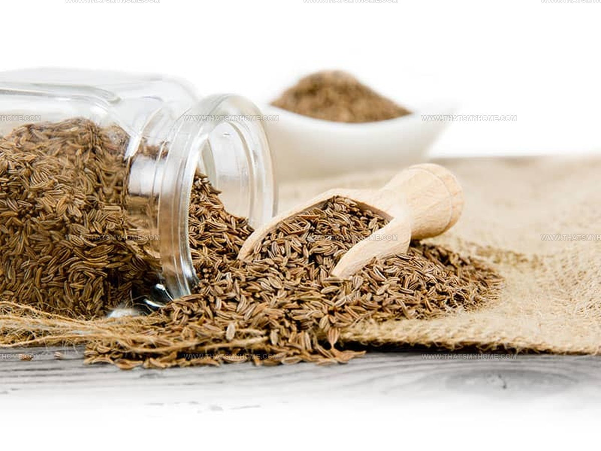 What Does Cumin Taste Like? Discover Its Earthy Magic