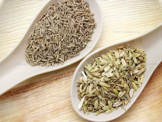 Seed or Powder – What’s the Deal?