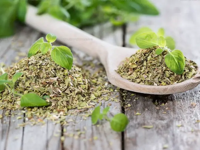 Fresh vs. Dried: Which Substitute Works Best?