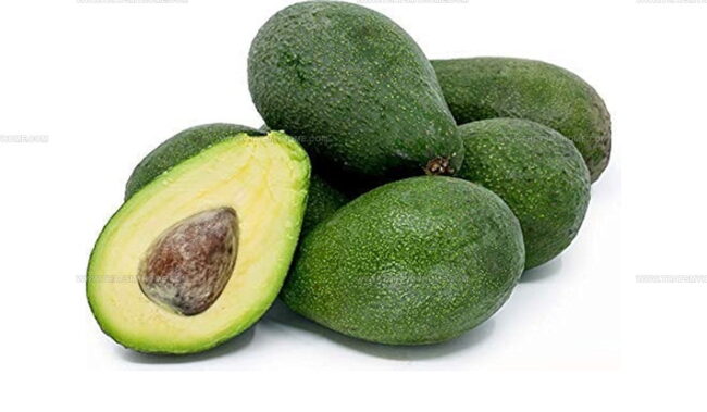 Avocado