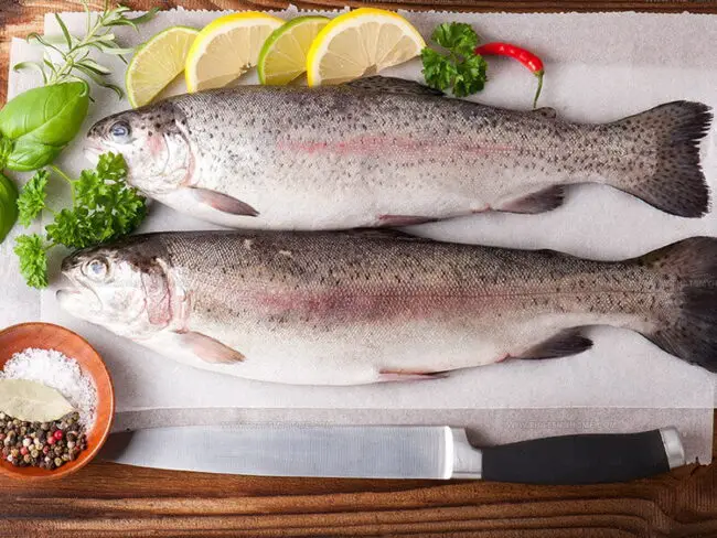 Flavor Profile of Rainbow Trout