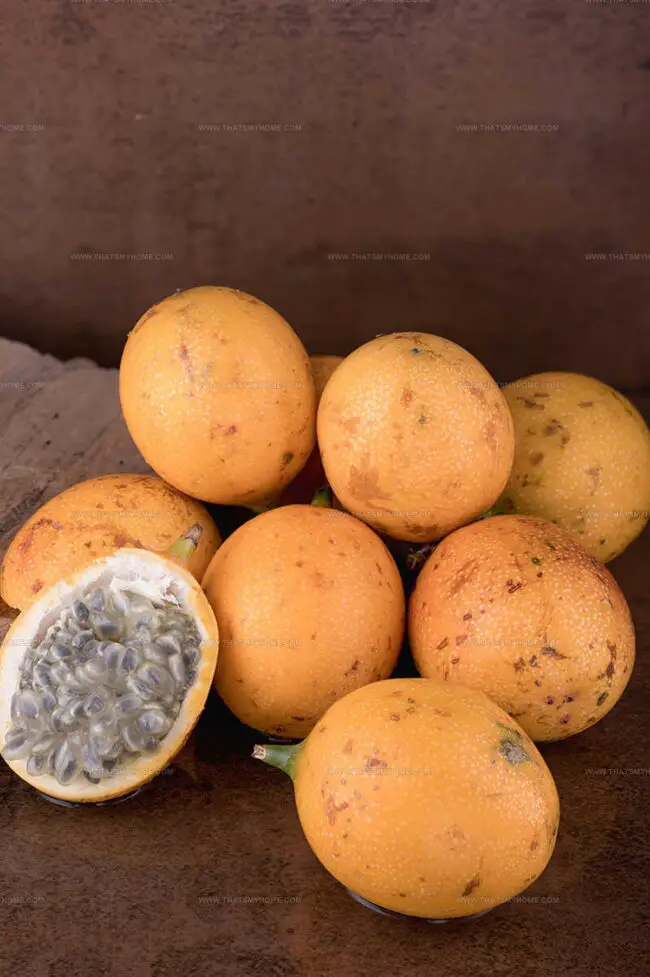Sweet Granadilla