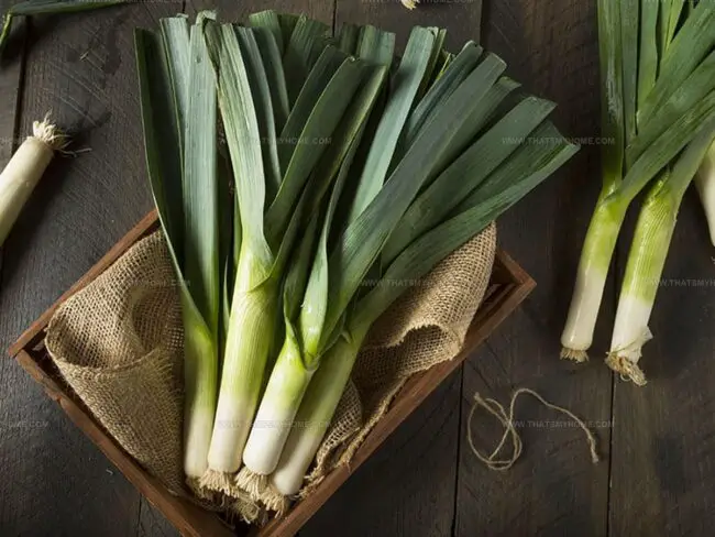 What You Should Know About Leeks