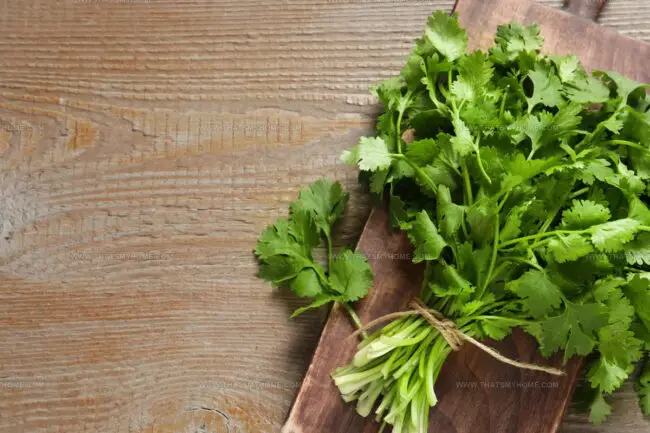 Does Cilantro Substitution Require Adjusting Salt or Acid?
