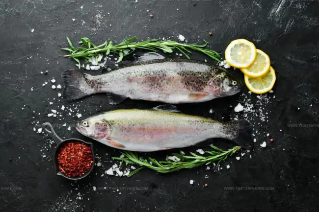 Introduction to Rainbow Trout