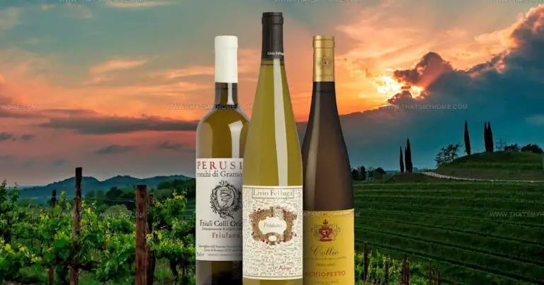 28 Rare Italian White Grapes to Discover This Season