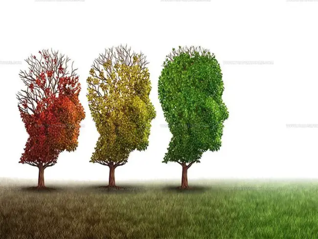 Improves Memory Skills