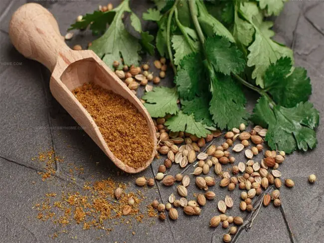 Ground Coriander Spice