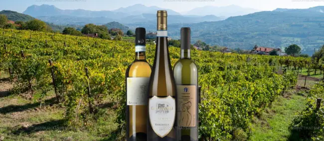 Biancolella