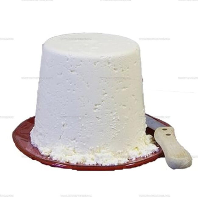 Cheese Ricotta