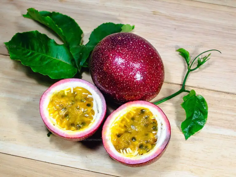 What Does Passion Fruit Taste Like? A Sweet, Tangy Tropical Treat