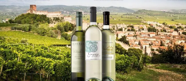 Garganega