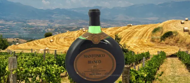 Mantonico Bianco