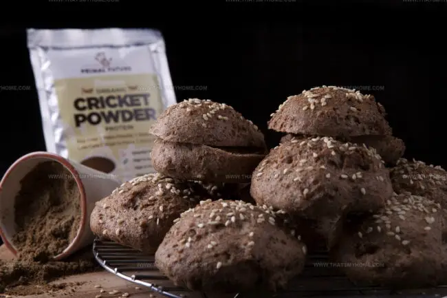 Cricket Bread (Sirkkaleipa)