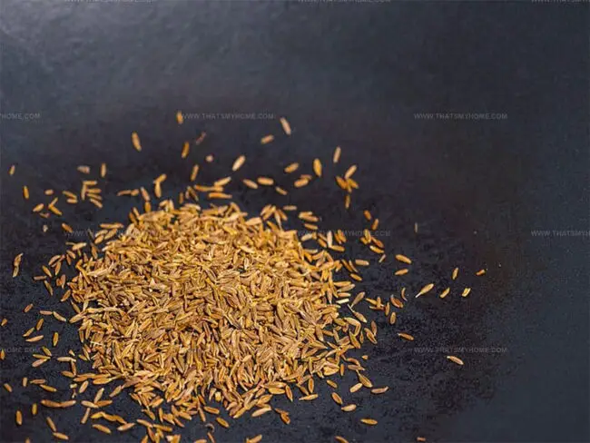 Step 2: Roast Cumin Seeds