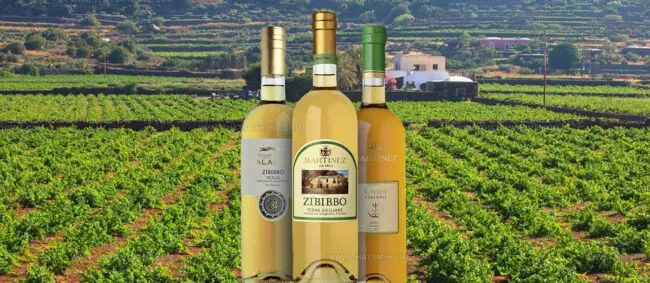 Muscat Of Alexandria (Zibibbo)