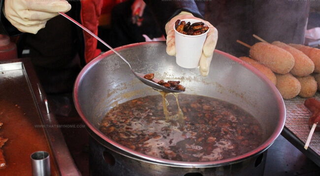 Beondegi Soup