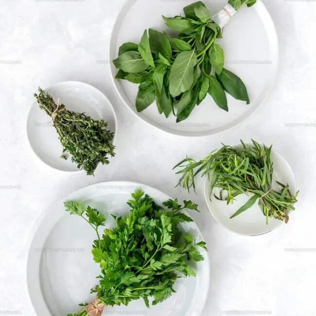 Fresh Herbs