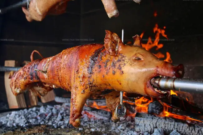 Spanferkel