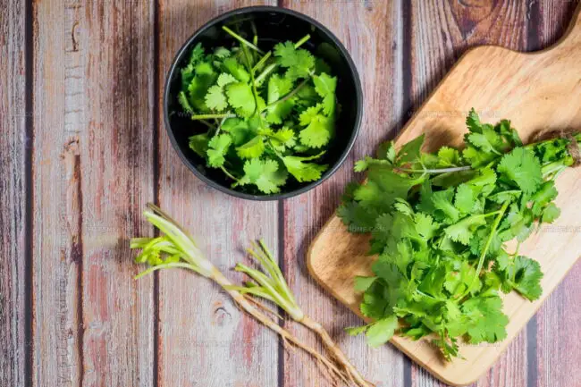 Can the Flavor of Cilantro Be Recreated Using Spice Blends?