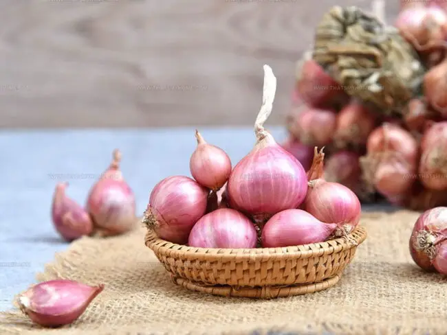 Several Widely-Used Onion Varieties And Its Usage