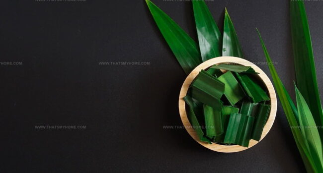 Love at First Smell: Pandan