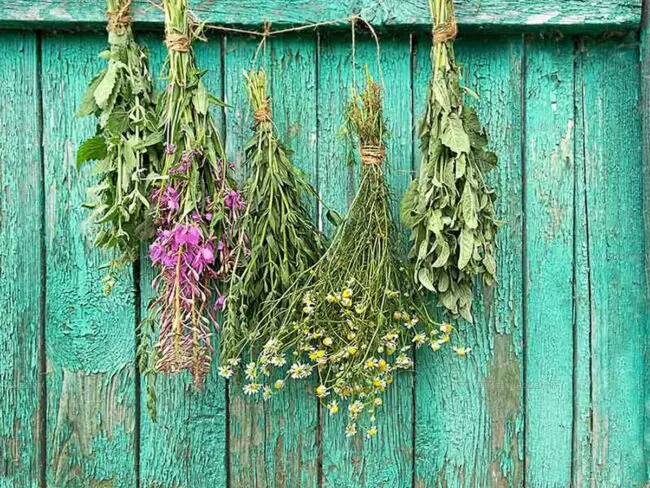 Hanging Dry