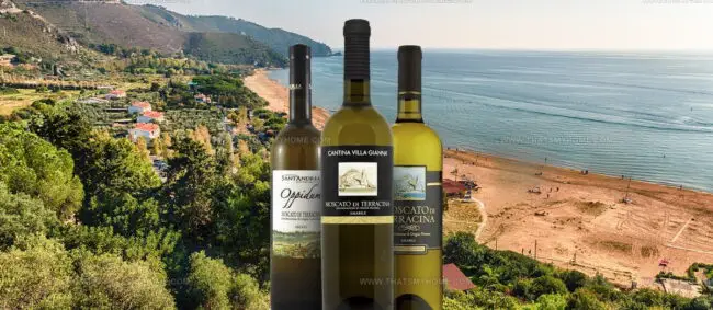 Moscato Di Terracina